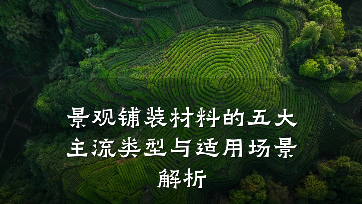 景观铺装材料的五大主流类型与适用场景解析