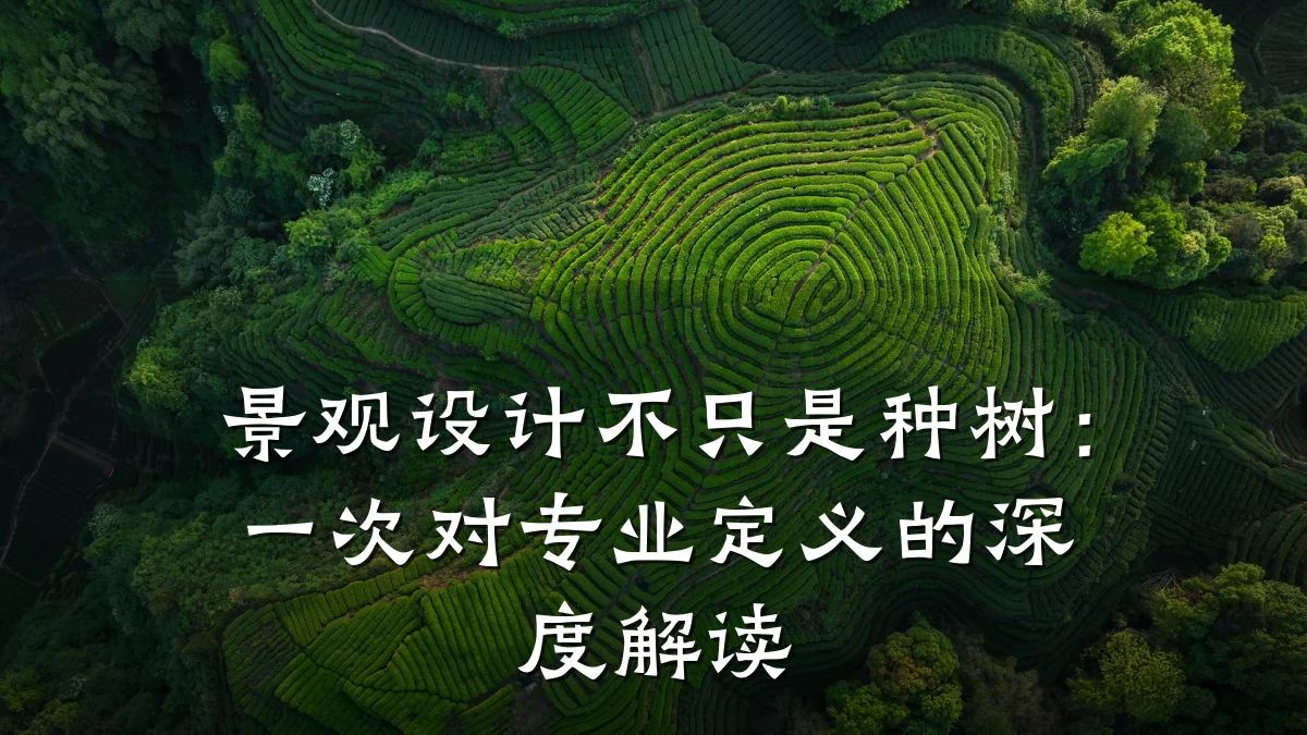 景观设计不只是种树:一次对专业定义的深度解读