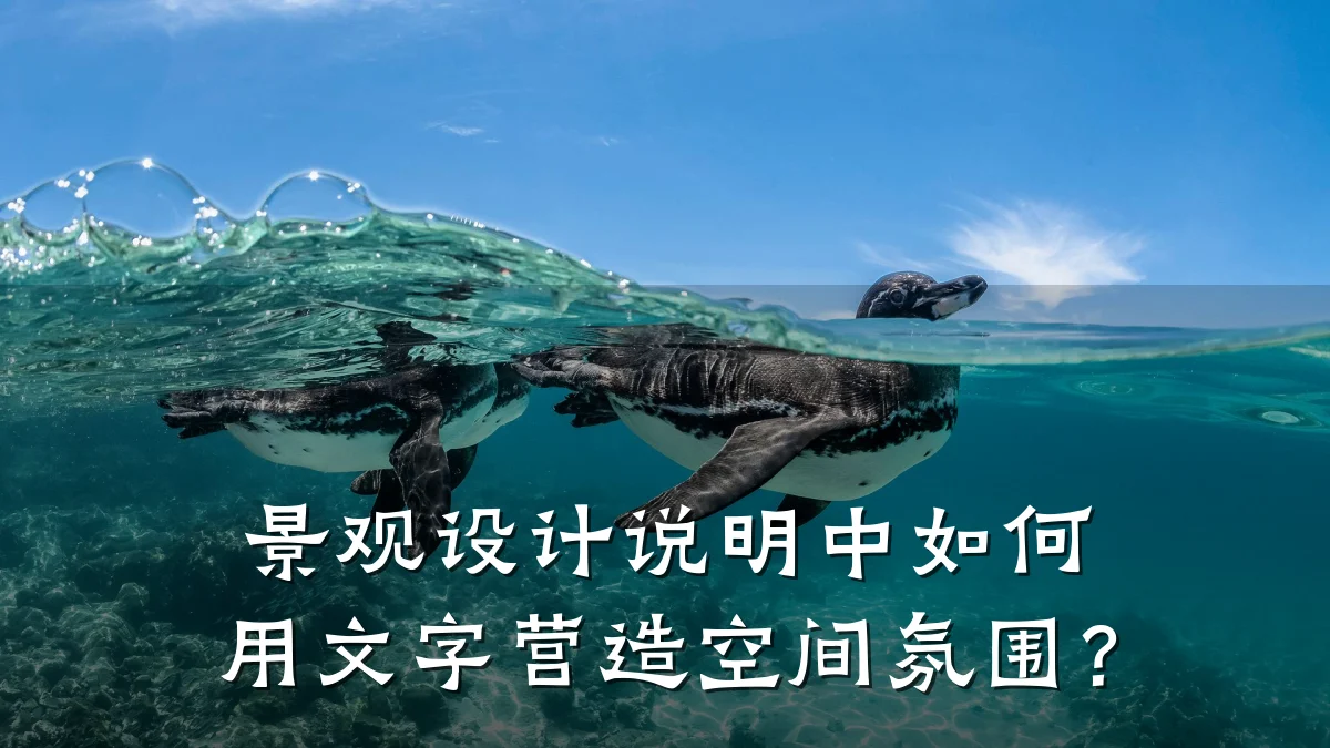 景观设计说明中如何用文字营造空间氛围?