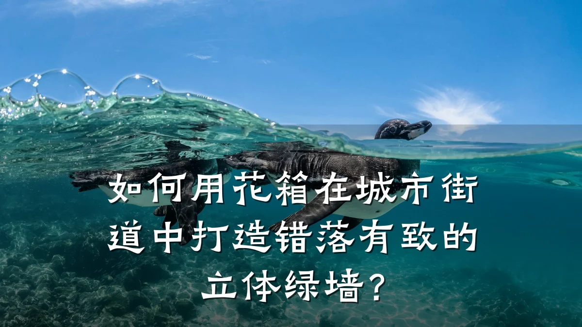如何用花箱在城市街道中打造错落有致的立体绿墙？