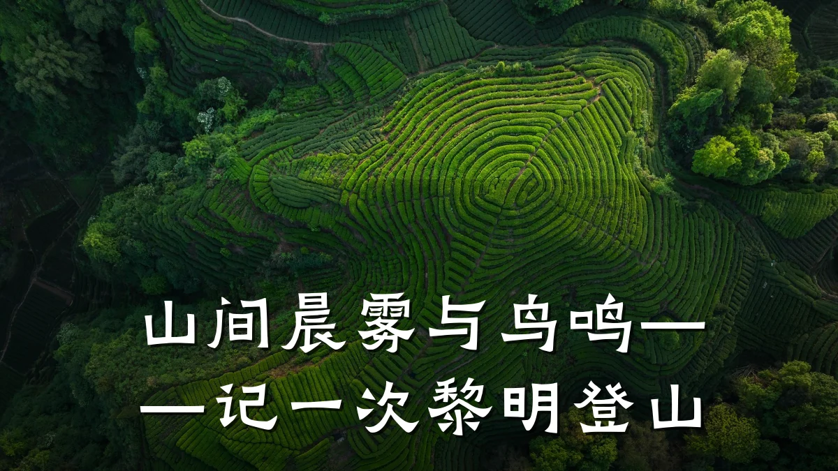 山间晨雾与鸟鸣——记一次黎明登山