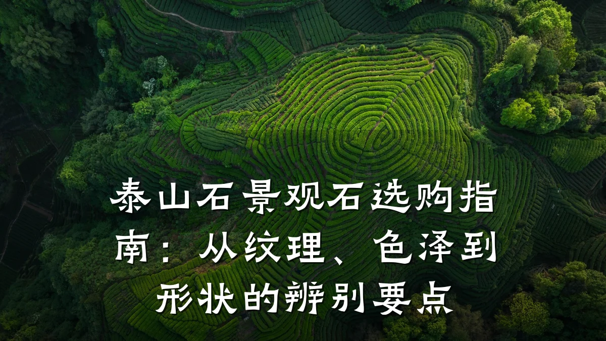 泰山石景观石选购指南:从纹理、色泽到形状的辨别要点