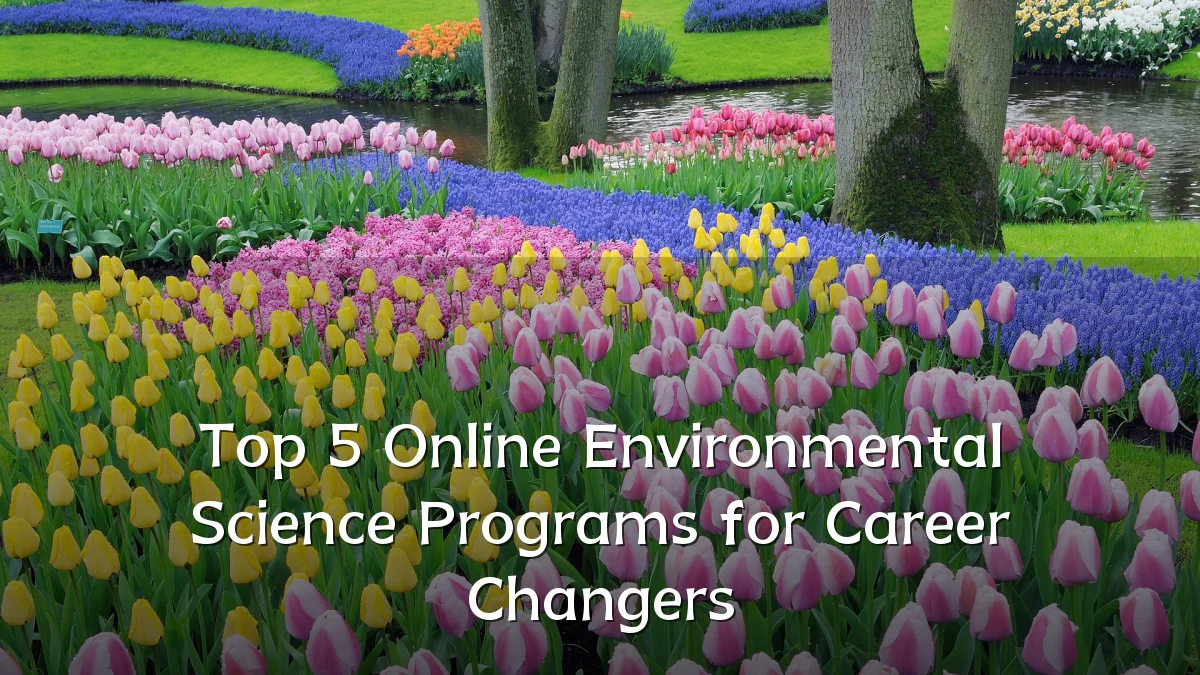 Top 5 Online Environmental Science Programs for Career Changers