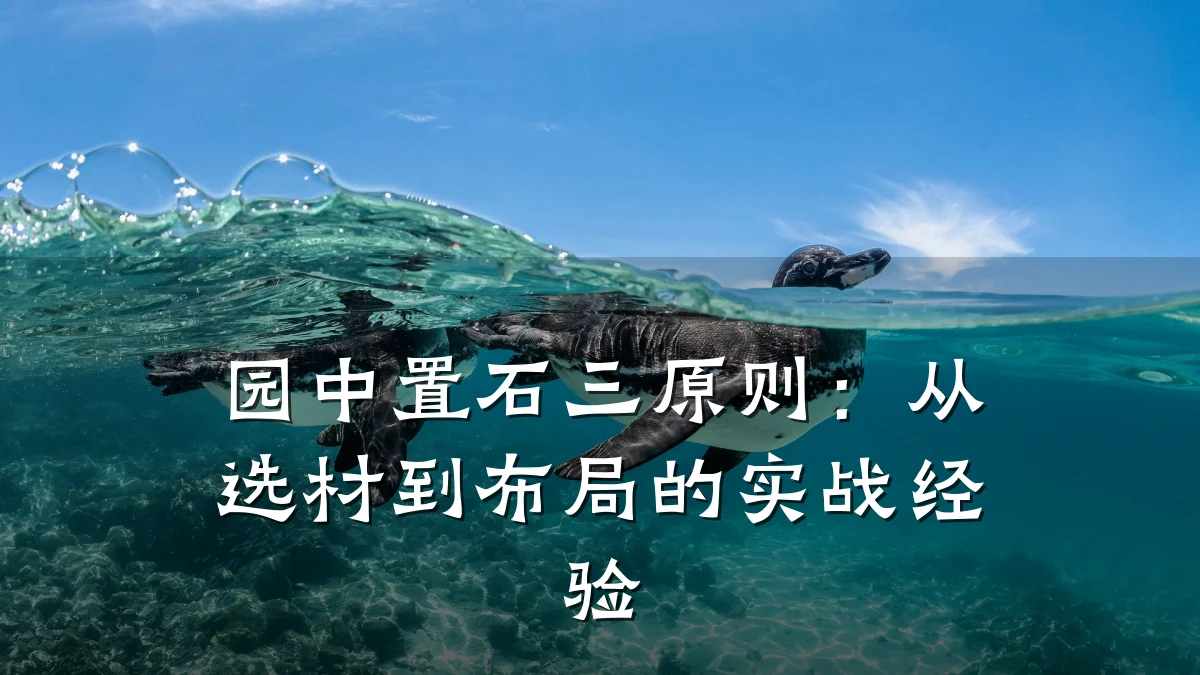 园中置石三原则：从选材到布局的实战经验