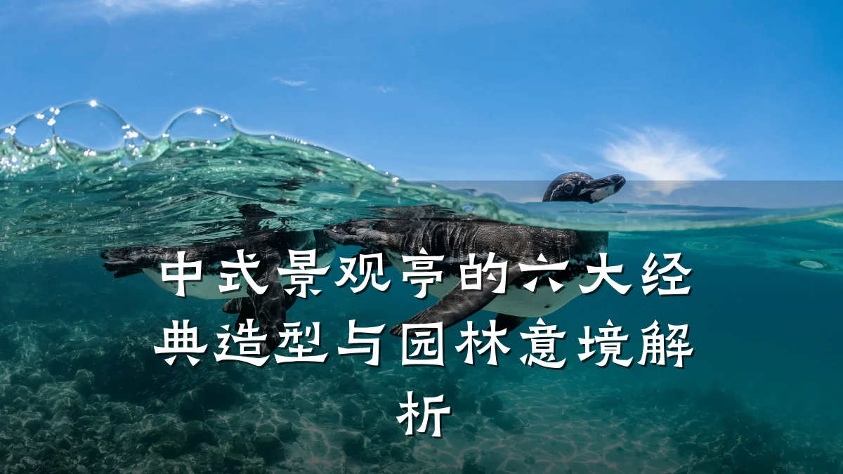 中式景观亭的六大经典造型与园林意境解析