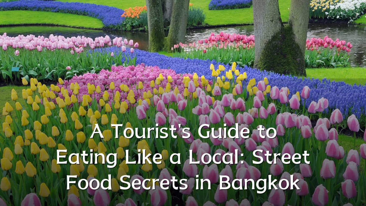 A Tourist's Guide to Eating Like a Local: Street Food Secrets in Bangkok