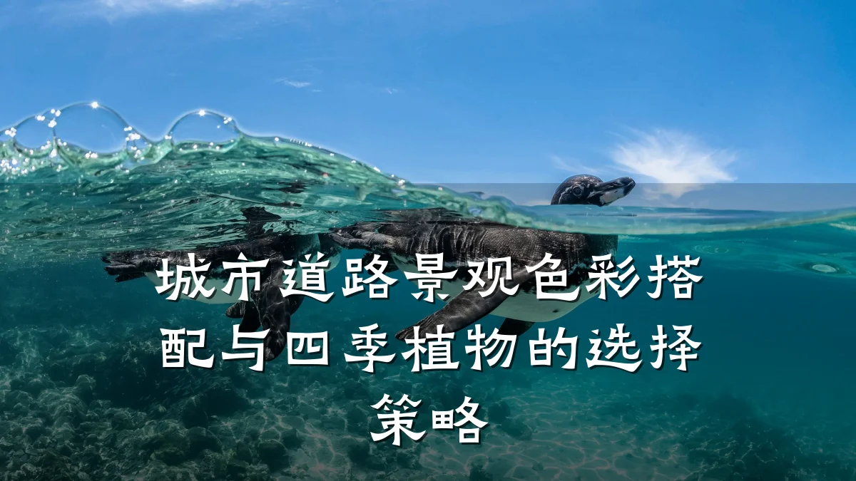 城市道路景观色彩搭配与四季植物的选择策略