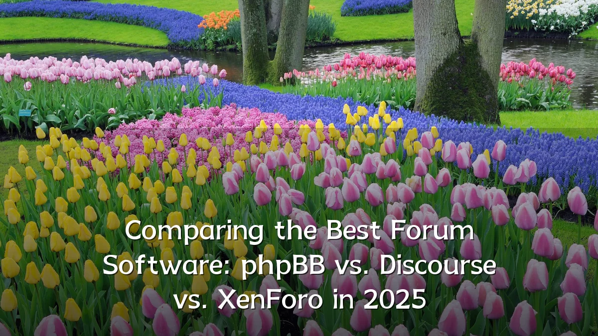 Comparing the Best Forum Software: phpBB vs. Discourse vs. XenForo in 2025