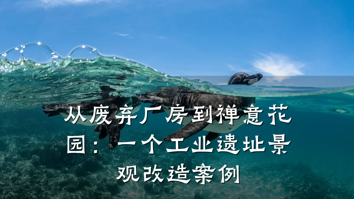 从废弃厂房到禅意花园:一个工业遗址景观改造案例