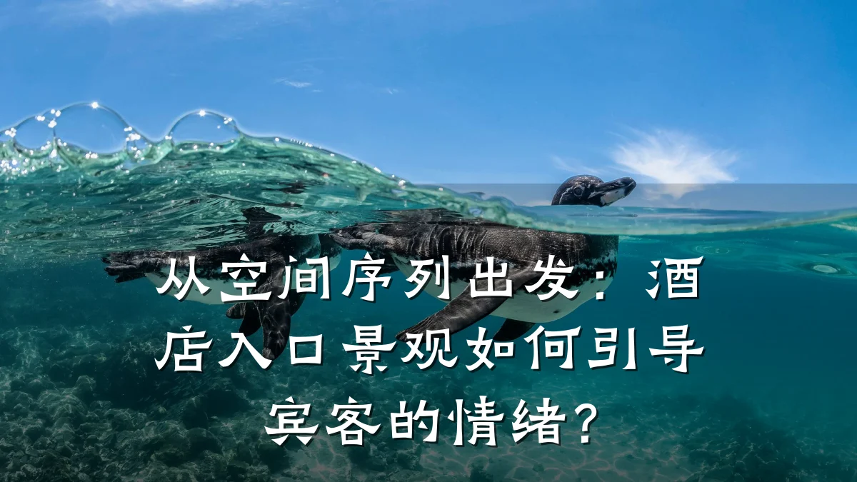 从空间序列出发:酒店入口景观如何引导宾客的情绪?