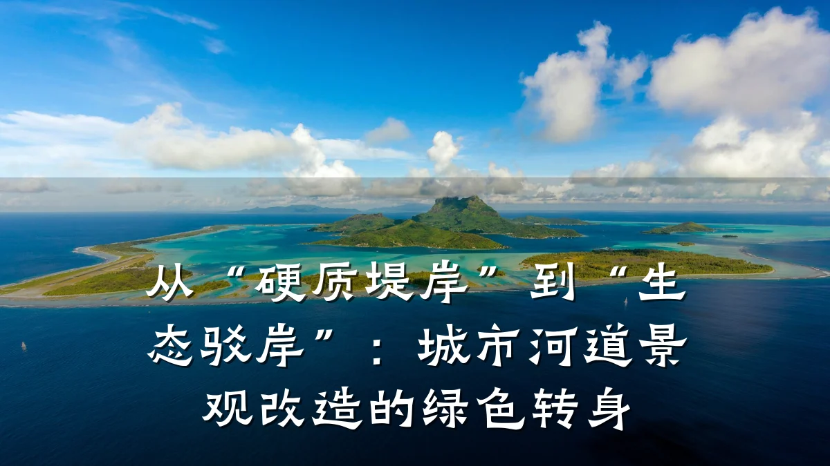 从“硬质堤岸”到“生态驳岸”:城市河道景观改造的绿色转身