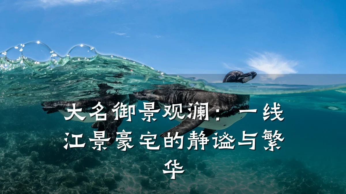 大名御景观澜:一线江景豪宅的静谧与繁华