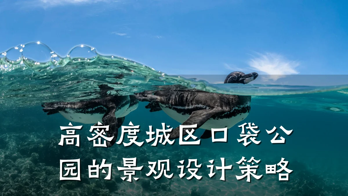 高密度城区口袋公园的景观设计策略