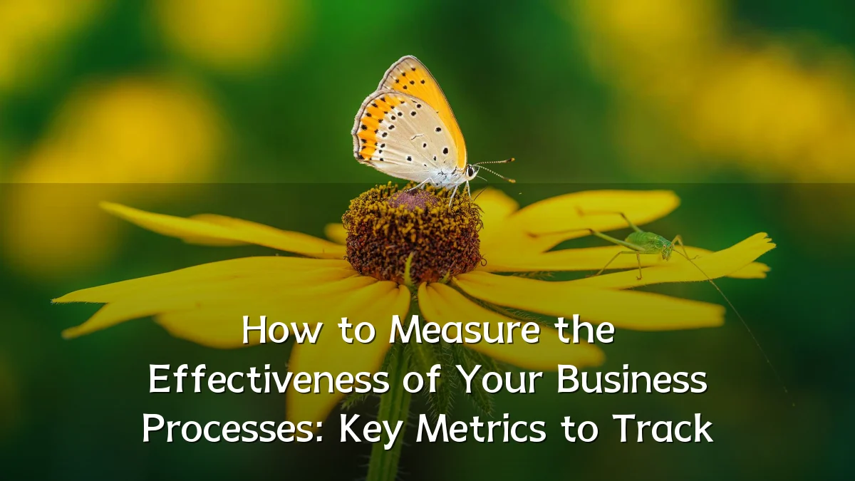 How to Measure the Effectiveness of Your Business Processes: Key Metrics to Track