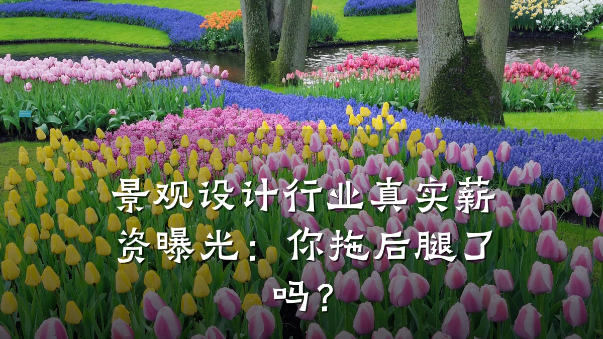 景观设计行业真实薪资曝光：你拖后腿了吗？