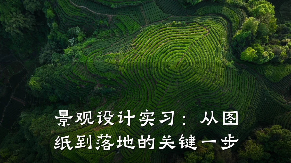 景观设计实习:从图纸到落地的关键一步