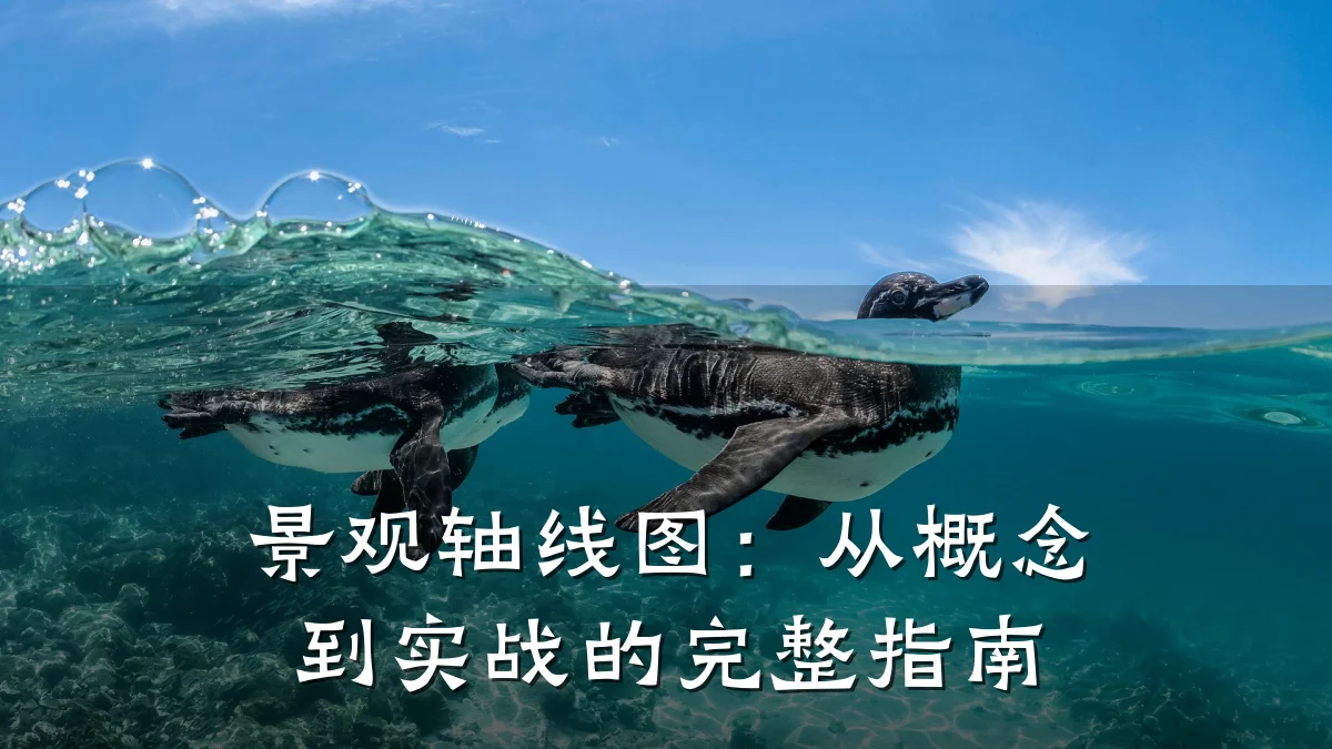 景观轴线图:从概念到实战的完整指南
