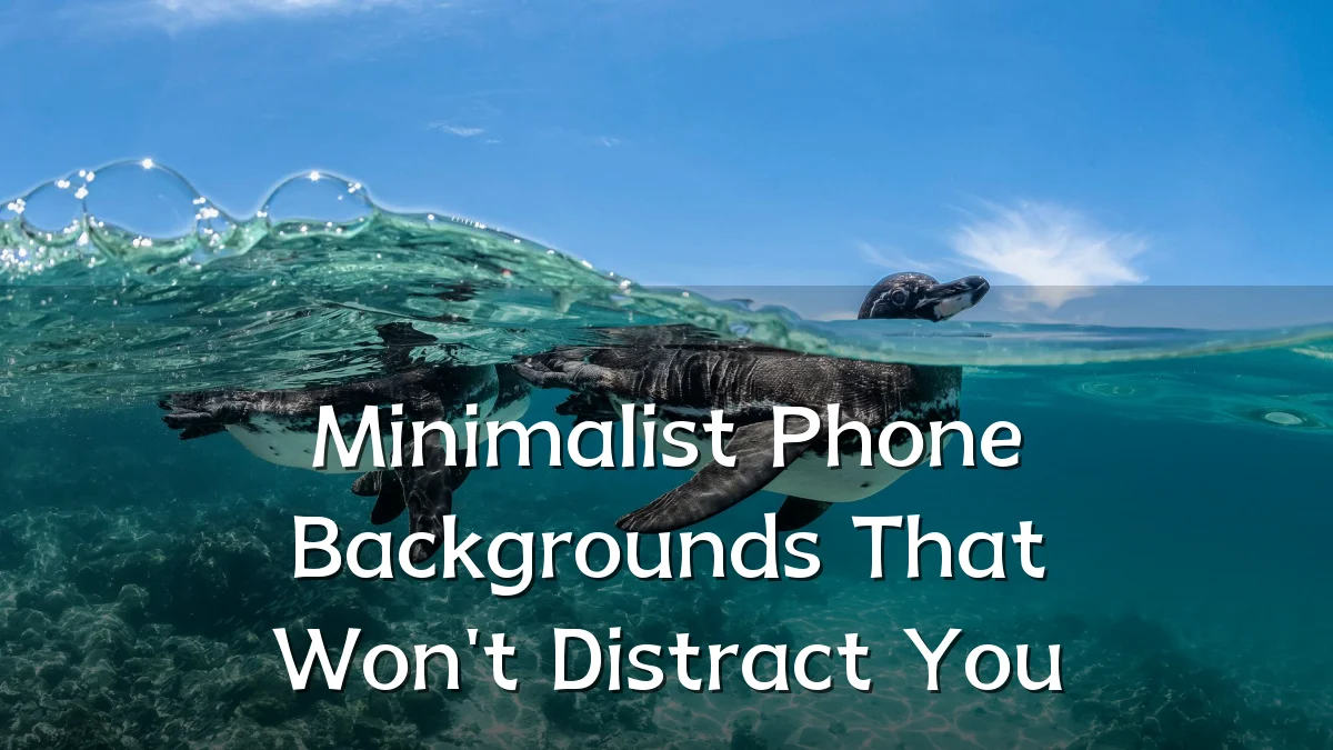 Minimalist Phone Backgrounds That Won't Distract You