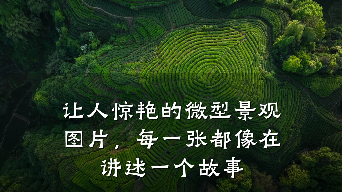 让人惊艳的微型景观图片,每一张都像在讲述一个故事