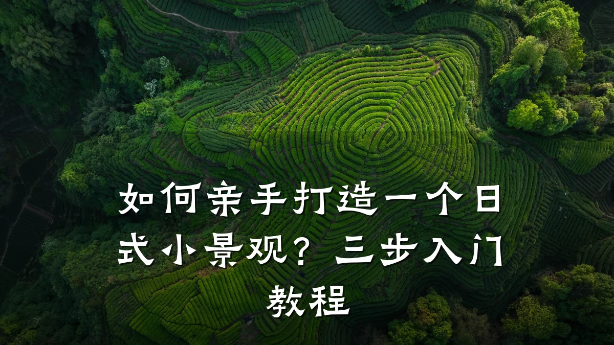 如何亲手打造一个日式小景观?三步入门教程