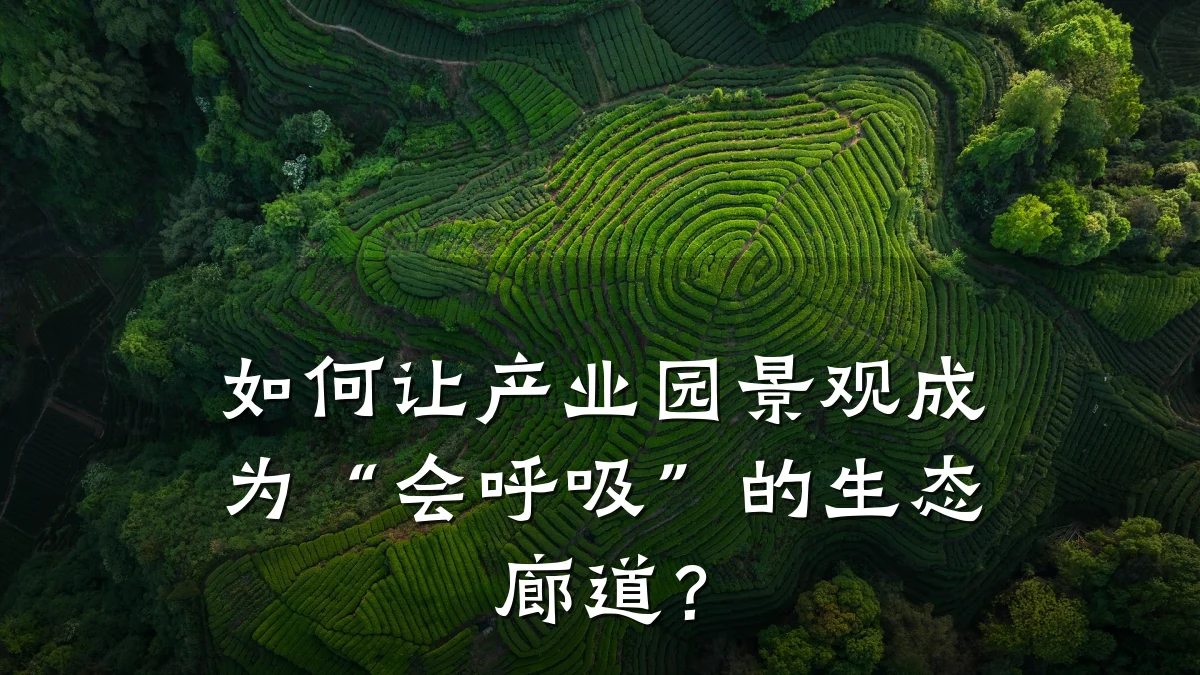 如何让产业园景观成为“会呼吸”的生态廊道?