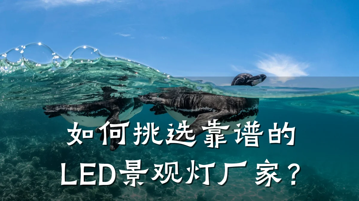 如何挑选靠谱的LED景观灯厂家?