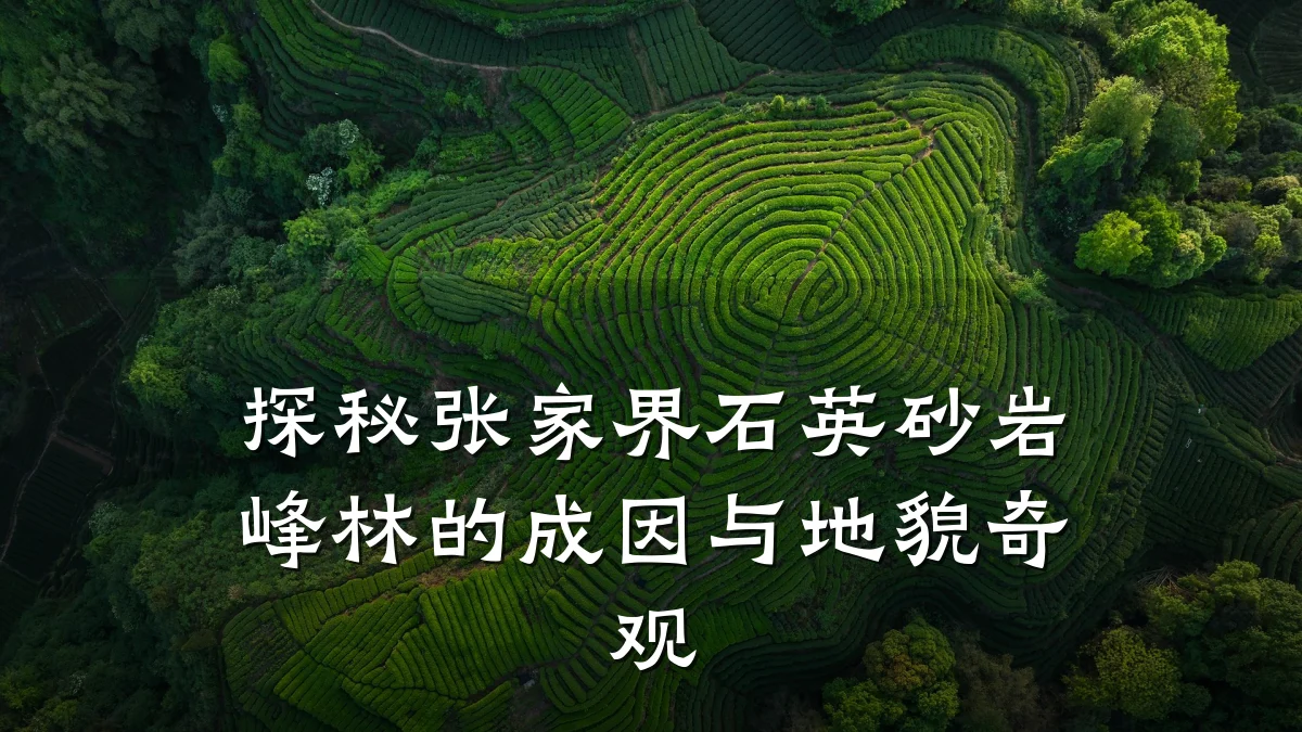 探秘张家界石英砂岩峰林的成因与地貌奇观