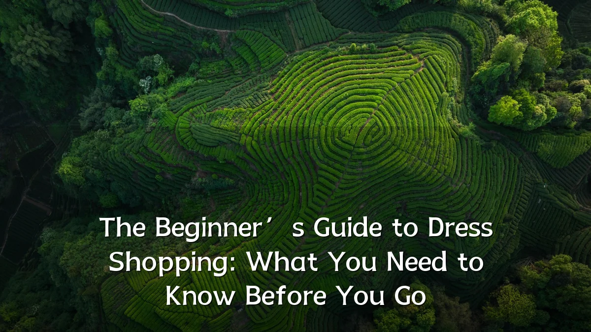 The Beginner’s Guide to Dress Shopping: What You Need to Know Before You Go