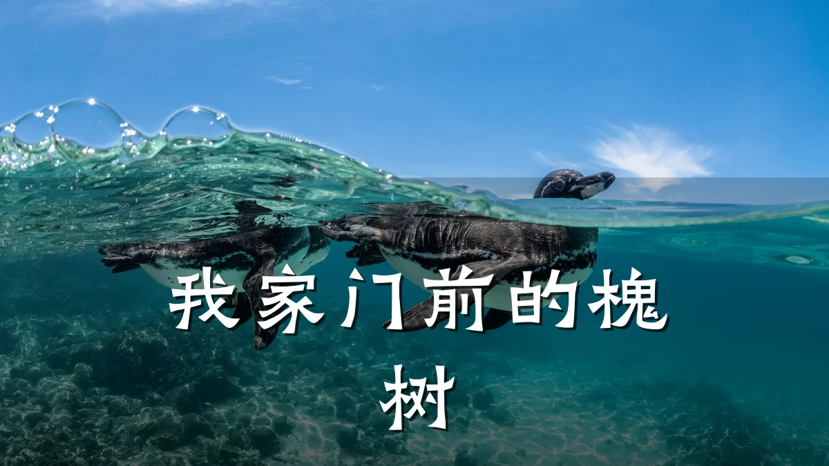 我家门前的槐树