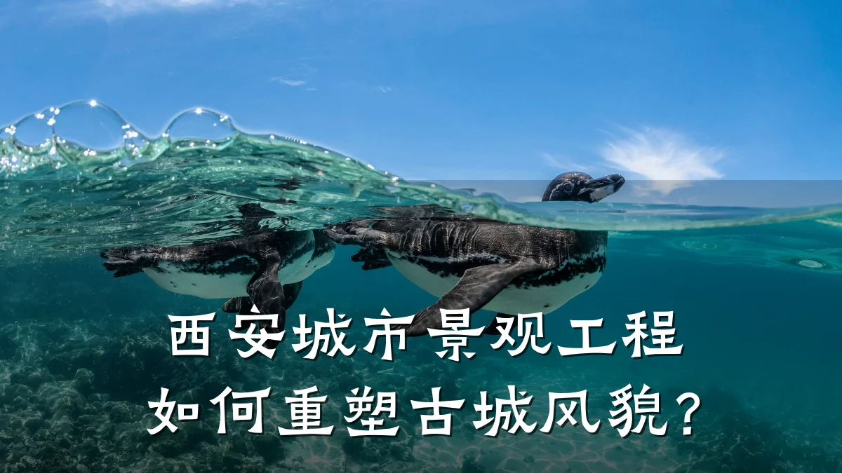 西安城市景观工程如何重塑古城风貌？