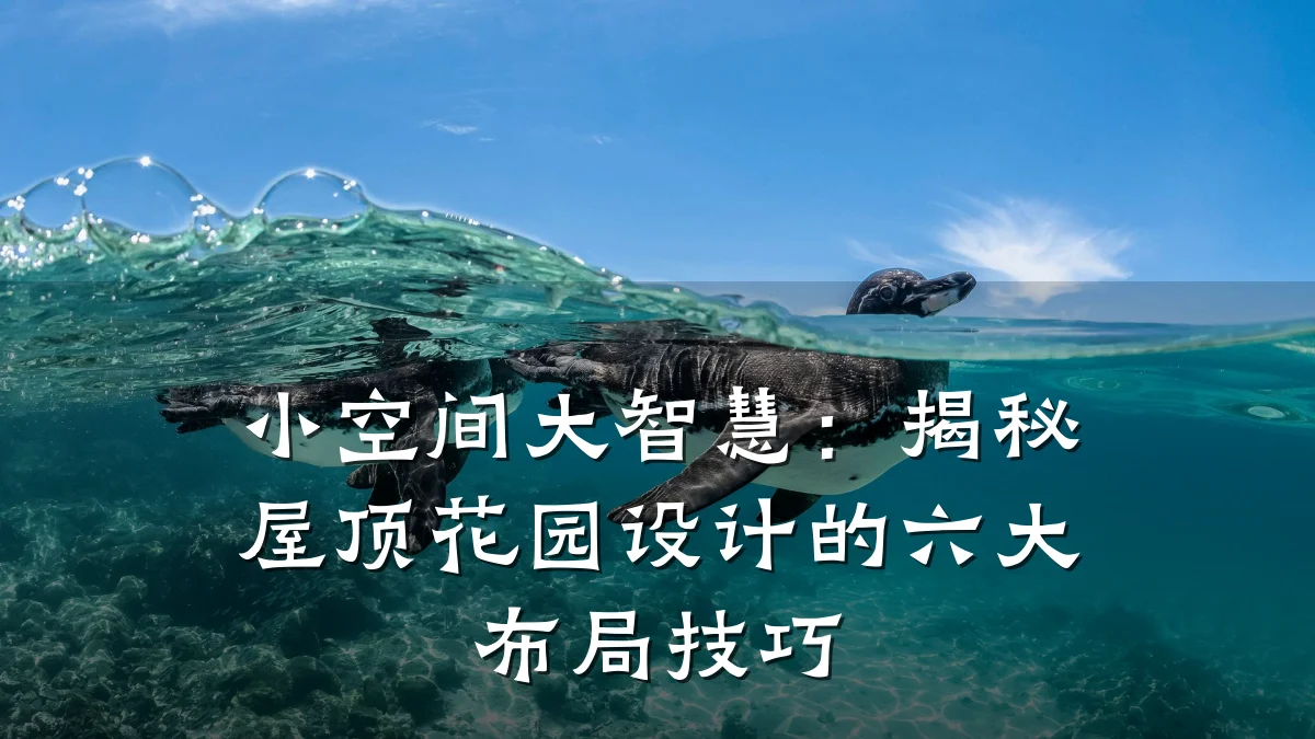 小空间大智慧：揭秘屋顶花园设计的六大布局技巧