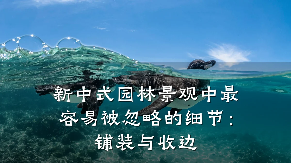新中式园林景观中最容易被忽略的细节:铺装与收边
