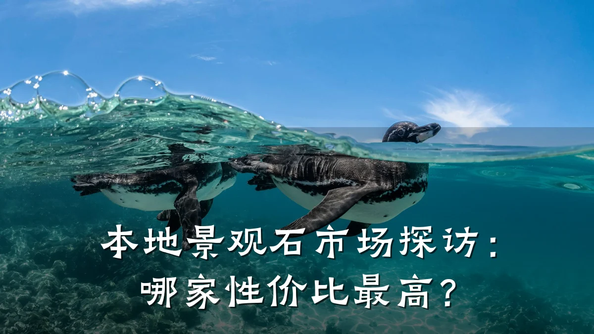 本地景观石市场探访:哪家性价比最高?
