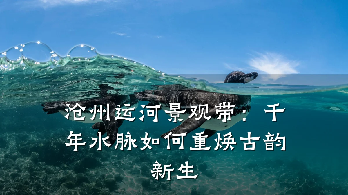 沧州运河景观带：千年水脉如何重焕古韵新生