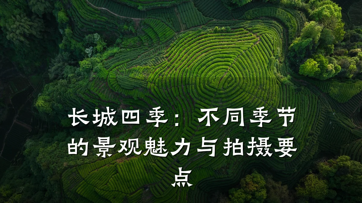 长城四季:不同季节的景观魅力与拍摄要点
