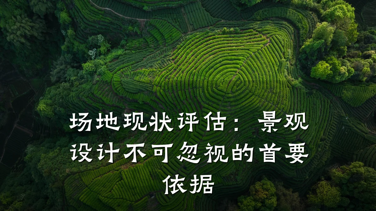 场地现状评估:景观设计不可忽视的首要依据
