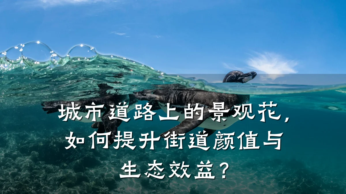 城市道路上的景观花，如何提升街道颜值与生态效益？