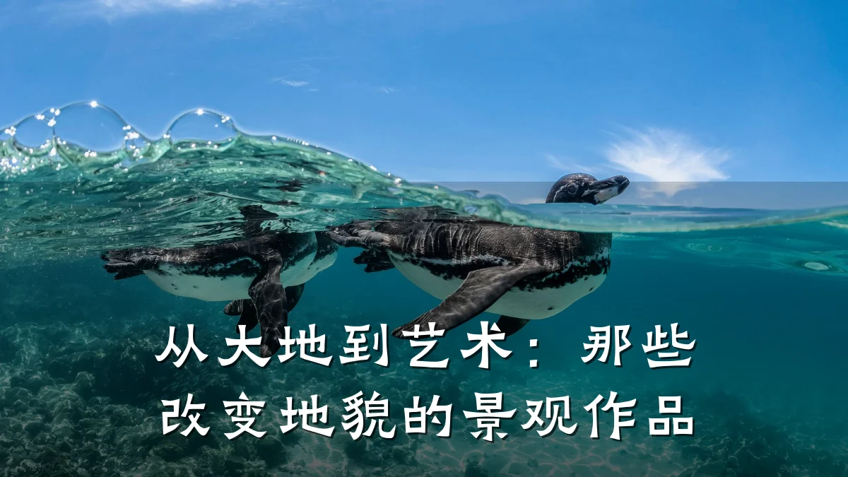从大地到艺术:那些改变地貌的景观作品