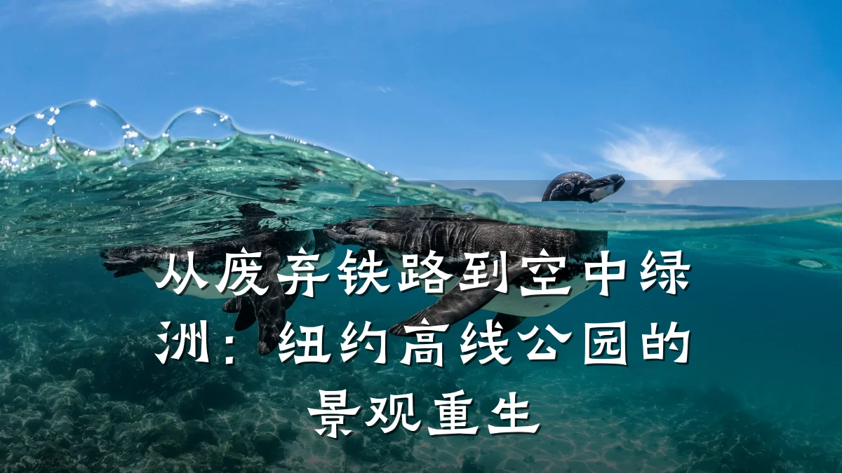 从废弃铁路到空中绿洲:纽约高线公园的景观重生