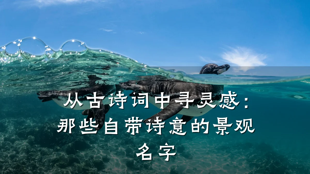 从古诗词中寻灵感:那些自带诗意的景观名字