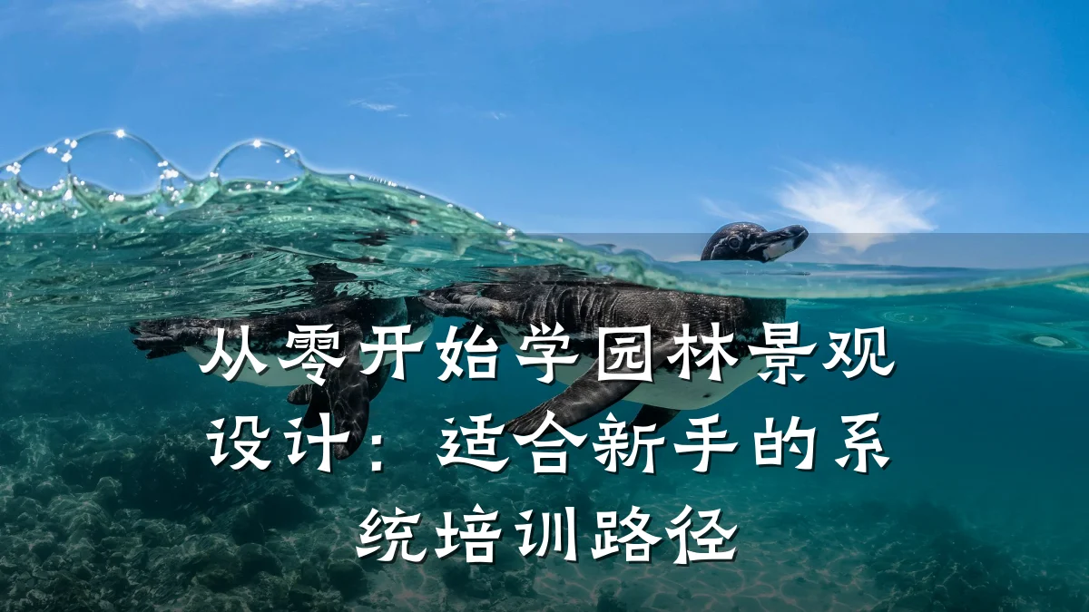 从零开始学园林景观设计:适合新手的系统培训路径