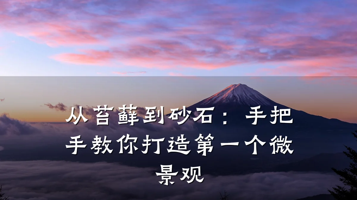 从苔藓到砂石:手把手教你打造第一个微景观
