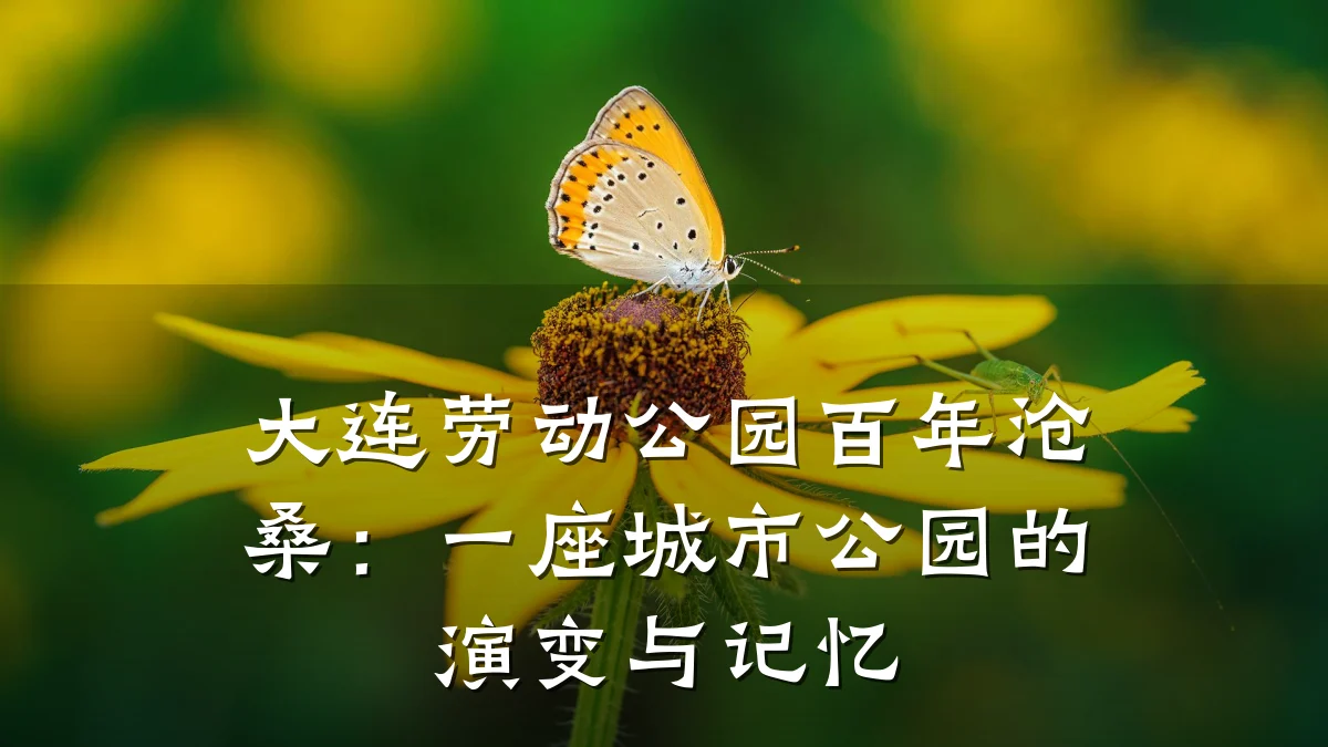 大连劳动公园百年沧桑:一座城市公园的演变与记忆