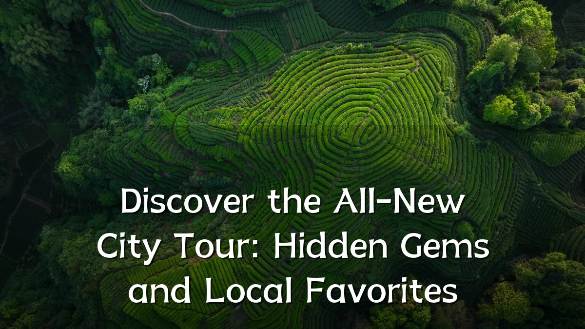 Discover the All-New City Tour: Hidden Gems and Local Favorites