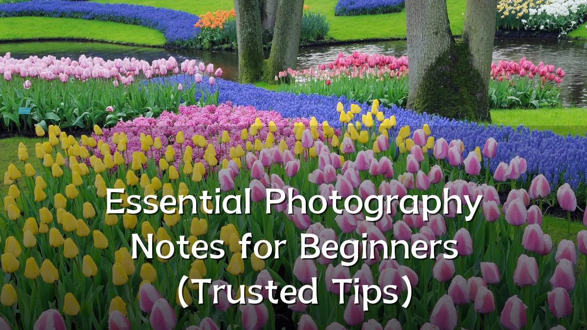 Essential Photography Notes for Beginners (Trusted Tips)