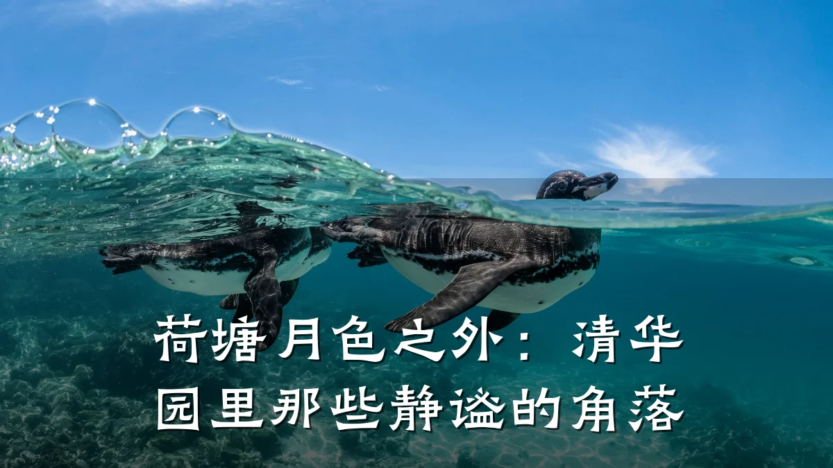 荷塘月色之外:清华园里那些静谧的角落