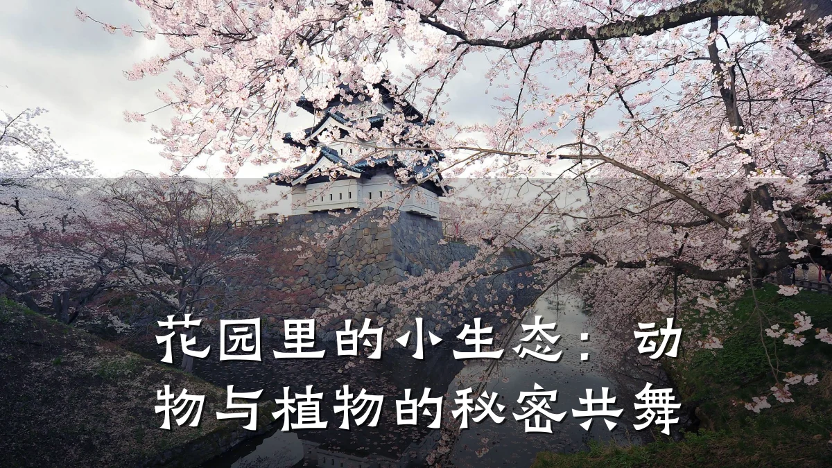 花园里的小生态:动物与植物的秘密共舞
