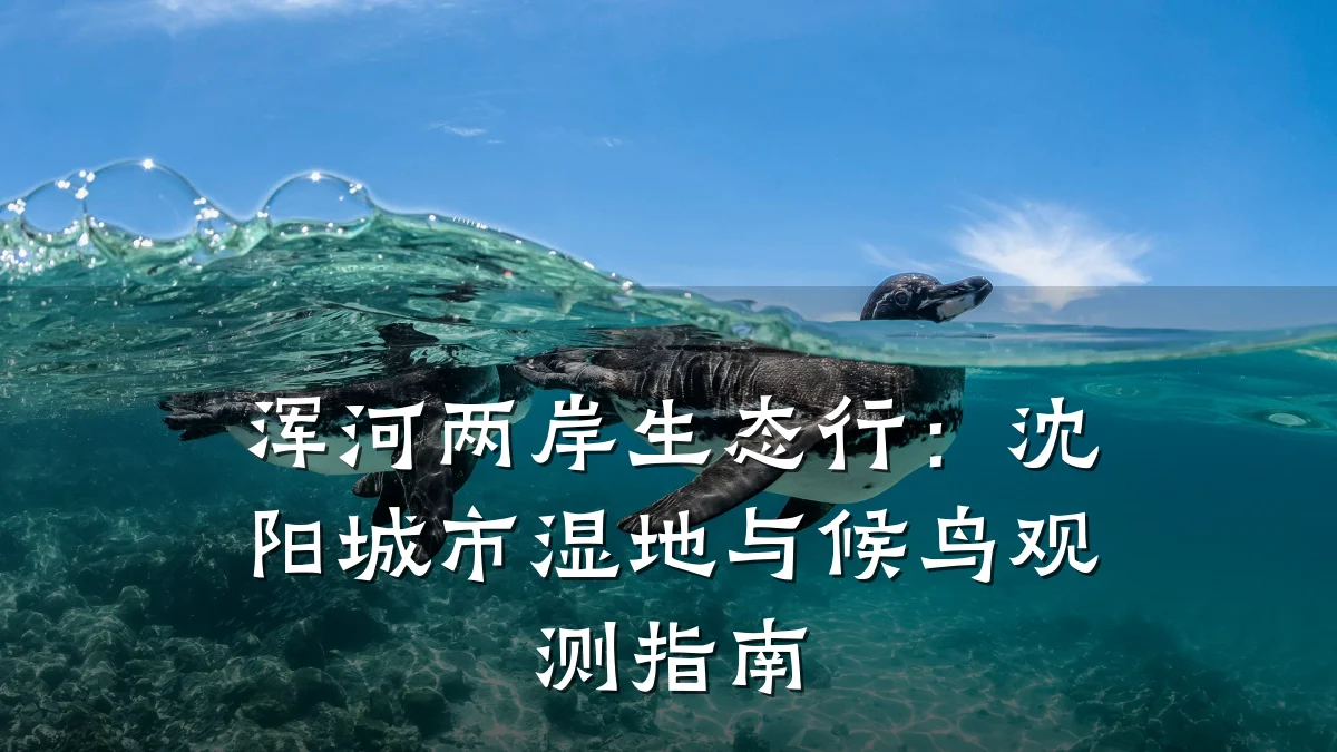 浑河两岸生态行:沈阳城市湿地与候鸟观测指南