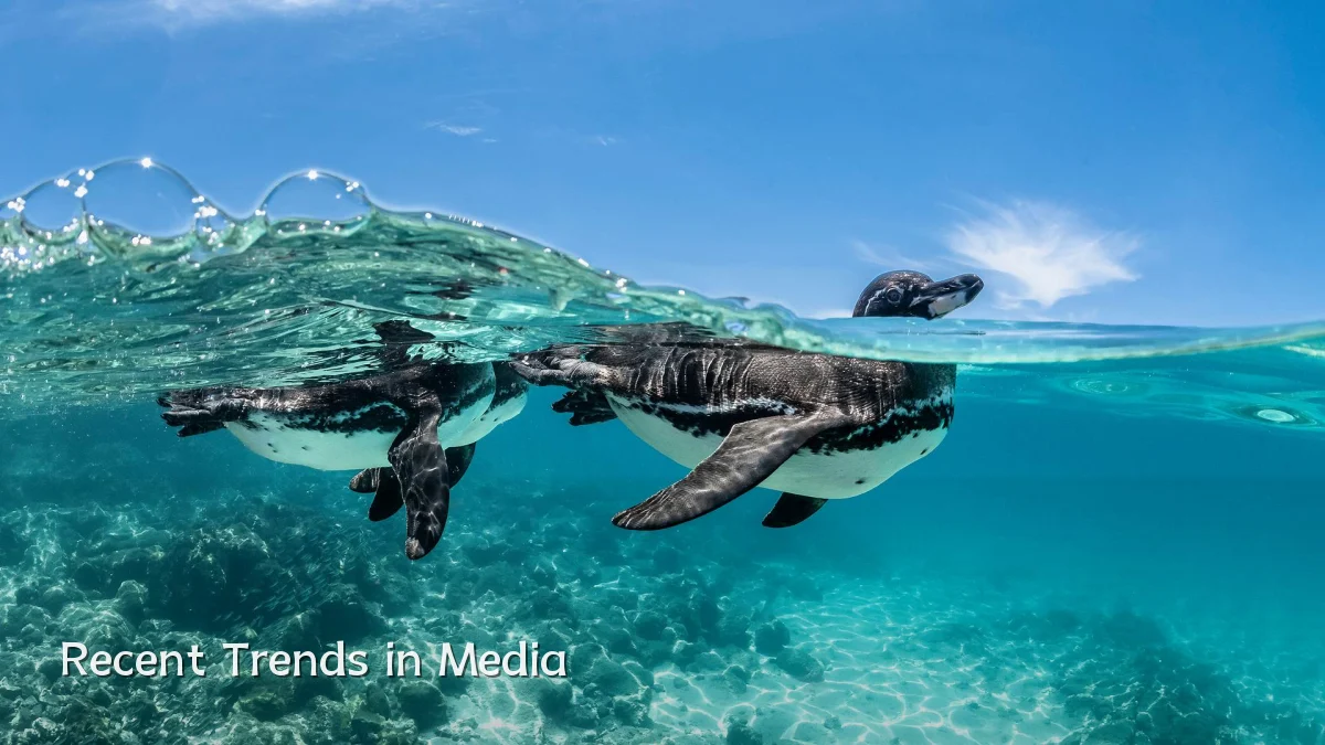 Recent Trends in Media