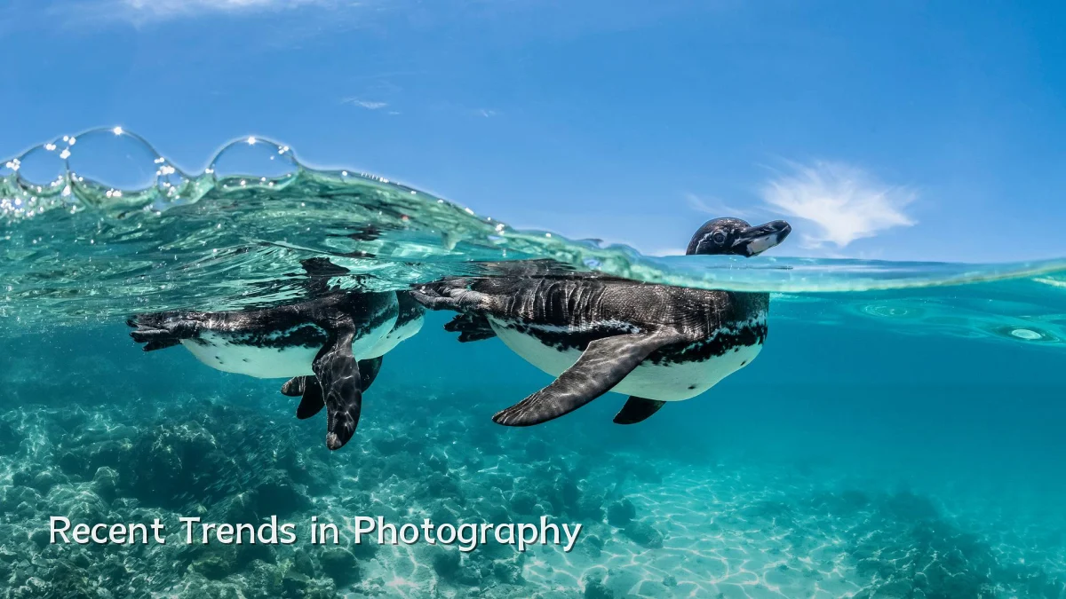 Recent Trends in Photography